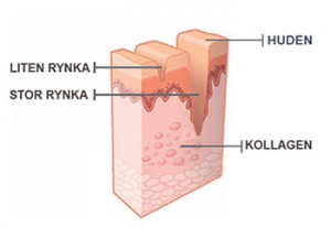 Tillsätt kollagen till din hud.